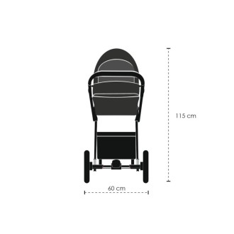 Kočárek Lonex Soft dvojkombinace